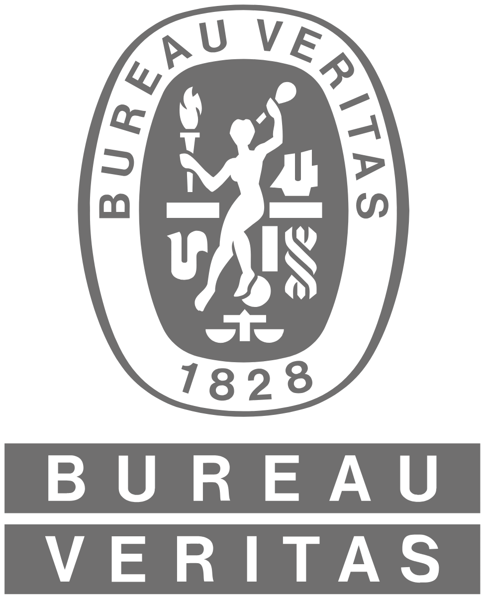 Logo Bureau Veritas
