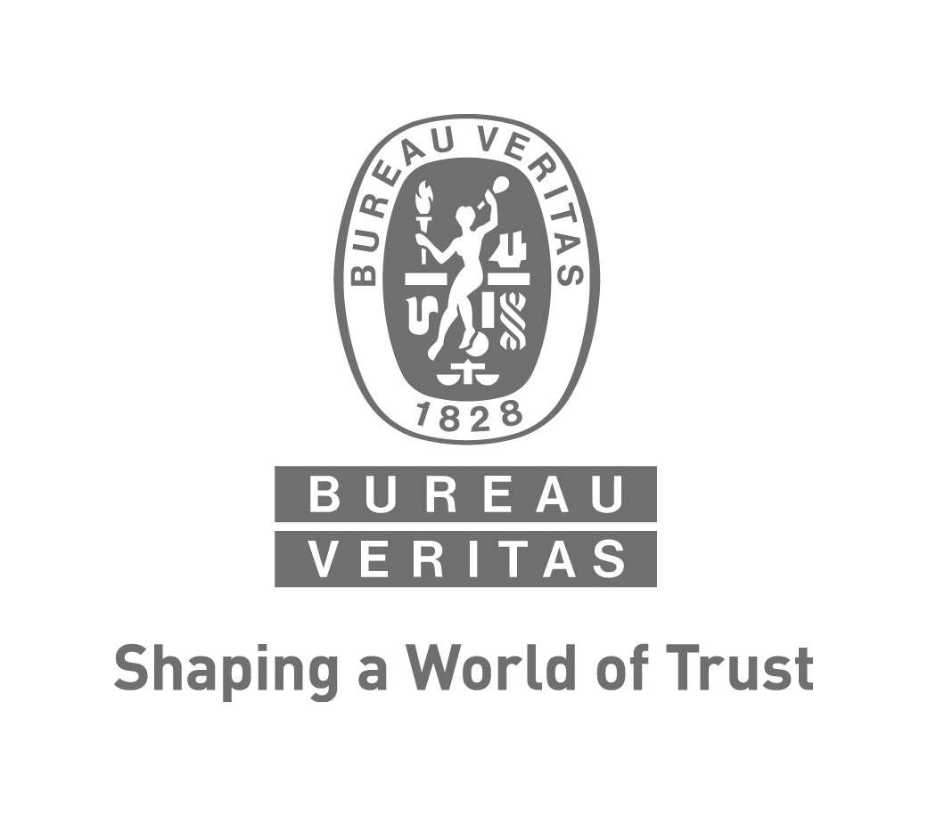 Logo Bureau Veritas